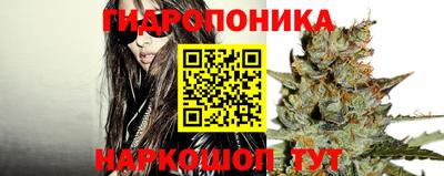 СК Кимры