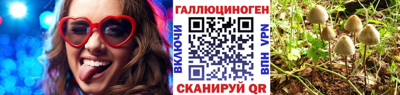 Галлюциногенные грибы GOLDEN TEACHER  наркотики  OMG как зайти  Топки 