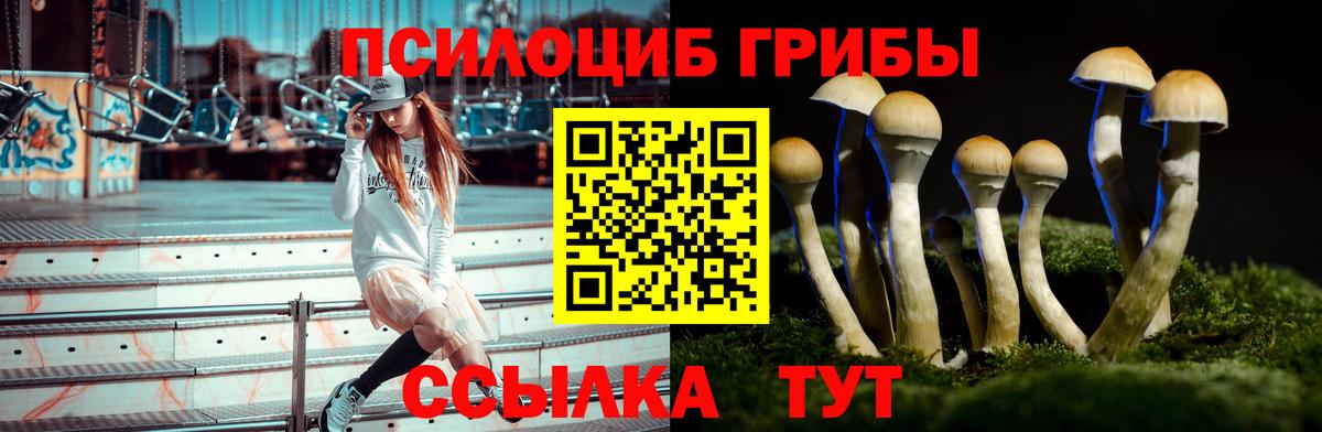 Топки  Псилоцибиновые грибы прущие грибы  Вход с VPN 